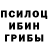 Псилоцибиновые грибы прущие грибы Hzs